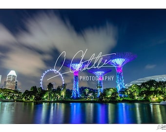 Garden By The Bay nightscape, Singapore