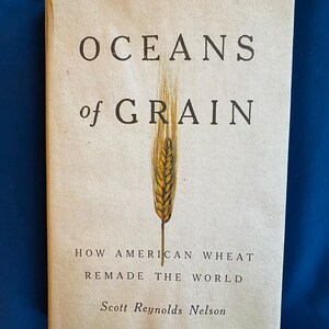Könnte beinhalten: Ein gebundenes Buch mit dem Titel Oceans of Grain: How American Wheat Remade the World von Scott Reynolds Nelson. Der Einband ist hellbeige und zeigt in der Mitte eine Abbildung einer einzelnen goldenen Weizenähre, die den Buchstaben I ersetzt.