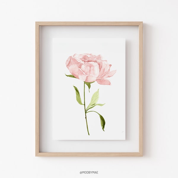 Peony Art Print, Pink Floral Illustration, Flower Wall Art,Watercolor Floral Print, Blush Wall Art, Baby Girl Nursery Wall Art, Feminine Art