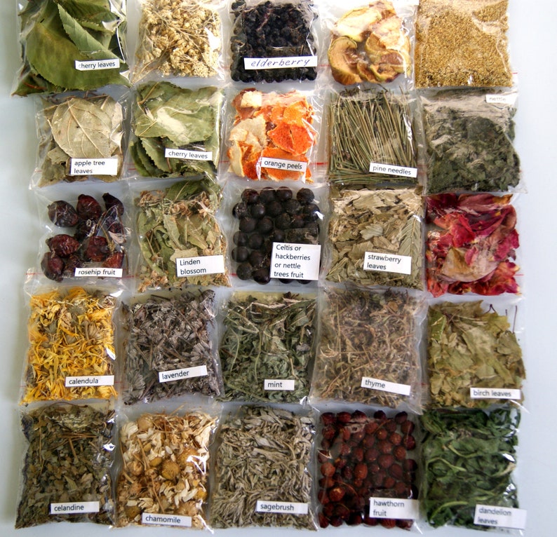 Herb Set Dried Herbs Flowers and Fruits Herb Kitstarter Etsy Australia