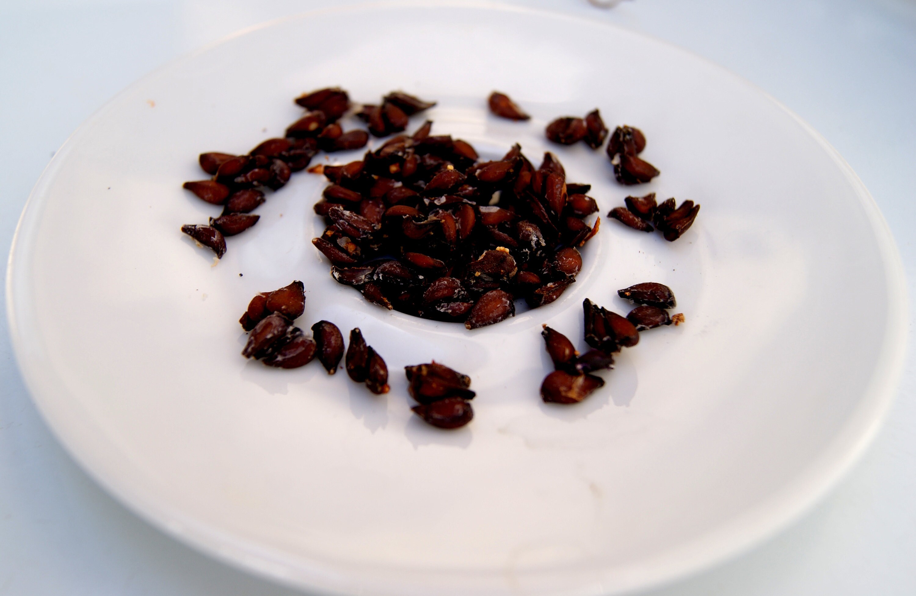 Quince Quince Seeds Fresh Quince Seeds Seeds for Planting. Etsy Canada