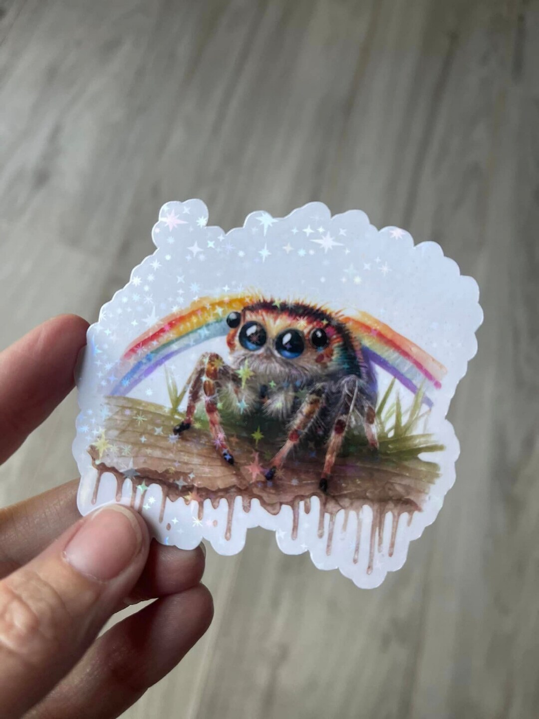 Jumping Spider & Rainbow Holographic Sticker, Kawaii Jumping Spider ...