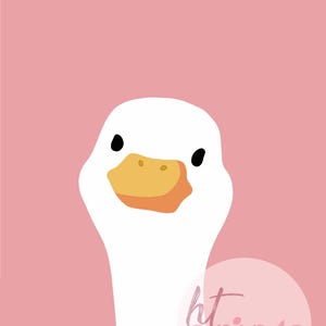 Puede incluir: Un ganso blanco con un pico amarillo y ojos negros mira a la c&aacute;mara. El ganso est&aacute; sobre un fondo rosa con el texto "ht prints" en un c&iacute;rculo.