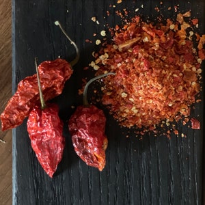 Dried Ghost Peppers - Organically Grown