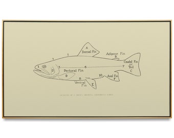 Brook Trout Diagram. Vintage trout diagram and Samsung Frame TV art