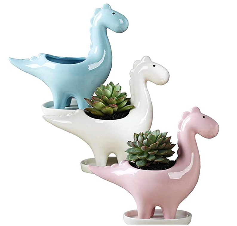 Different models available. Beautiful 3 pieces set ceramic dinosaur pot planters for indoors and outdoors with drainage hole at the bottom