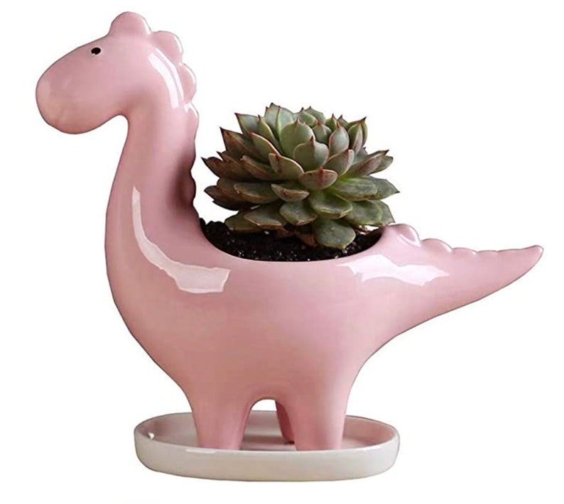 Different models available. Beautiful 3 pieces set ceramic dinosaur pot planters for indoors and outdoors with drainage hole at the bottom