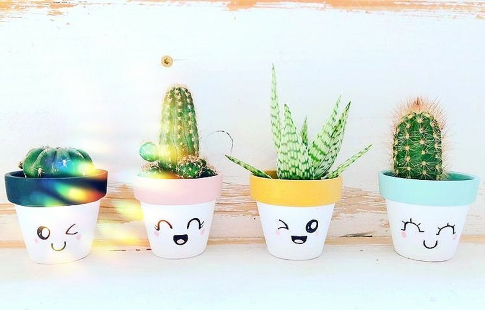 Cute eyes succulent hand painted clay pot. Indoors outdoors | Etsy