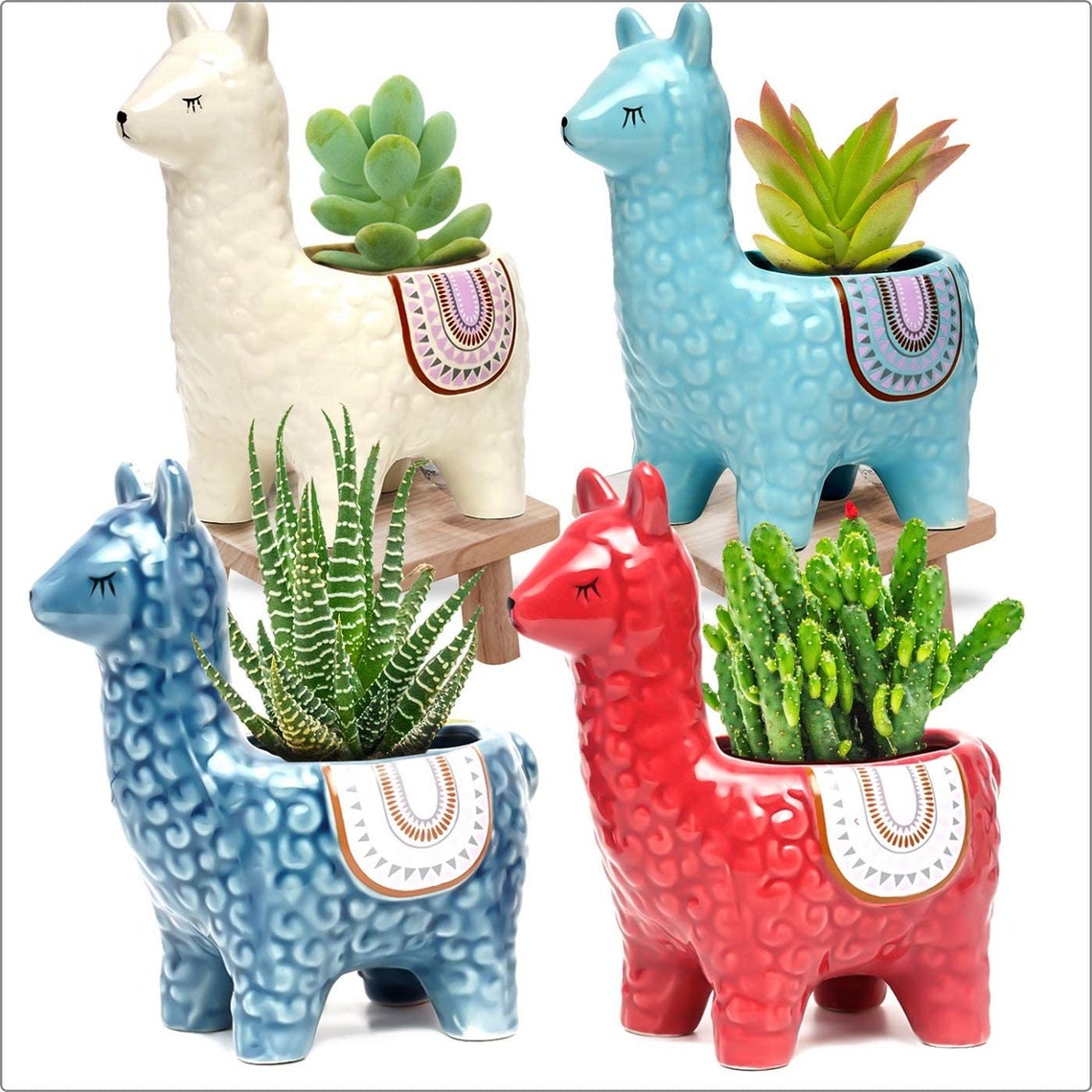 Beautiful Cute Ceramic Colorful Llamas Succulent Planter Pot Etsy