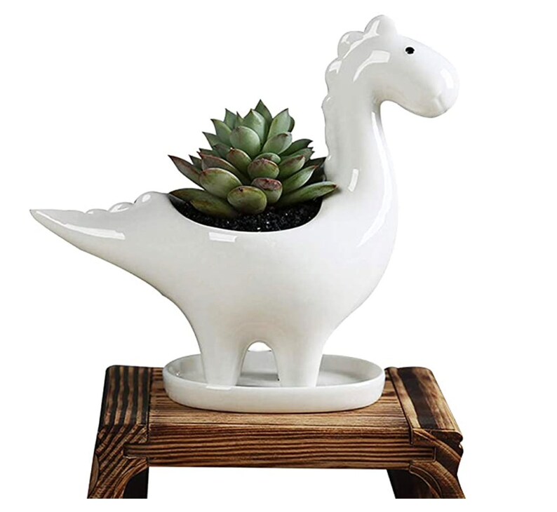 Different models available. Beautiful 3 pieces set ceramic dinosaur pot planters for indoors and outdoors with drainage hole at the bottom