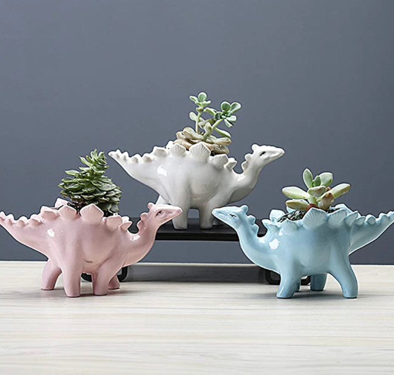 Different models available. Beautiful 3 pieces set ceramic dinosaur pot planters for indoors and outdoors with drainage hole at the bottom