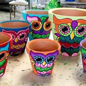 Beautiful hand painted colorful owl succulent clay pots planters two sizes. Macetas de búho de colores pintadas a mano para suculentas.