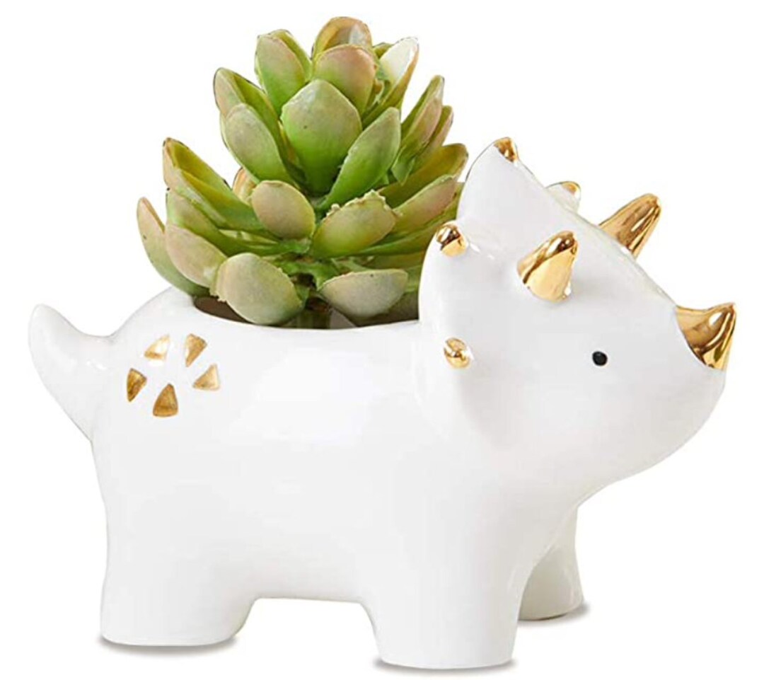 Cute Ceramic Dinosaurs Succulent Planters Pots for Indoors and Outdoors