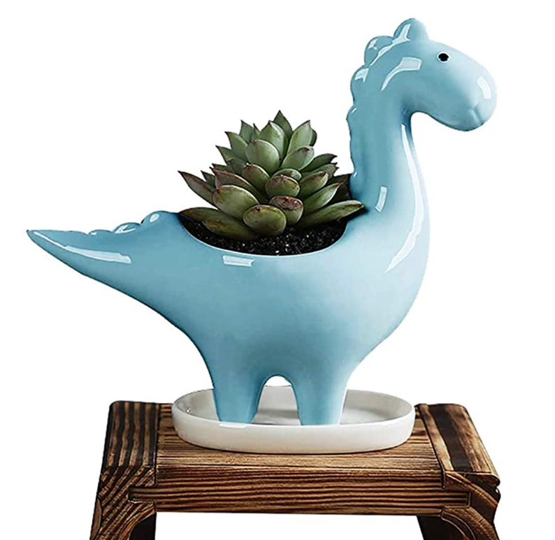 Different models available. Beautiful 3 pieces set ceramic dinosaur pot planters for indoors and outdoors with drainage hole at the bottom