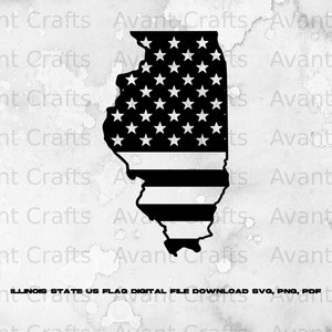 Illinois State US Flag file digitale scaricare svg, png, pdf