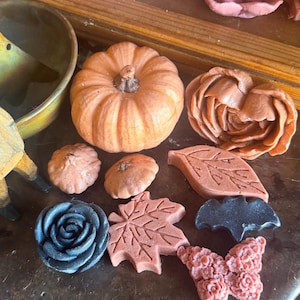 May include: A collection of wax melts in various shapes including a pumpkin, roses, leaves, a bat, and a butterfly. The pieces are colored in shades of orange, terracotta, and black. Some items feature detailed textures like veins on leaves and petals on flowers.