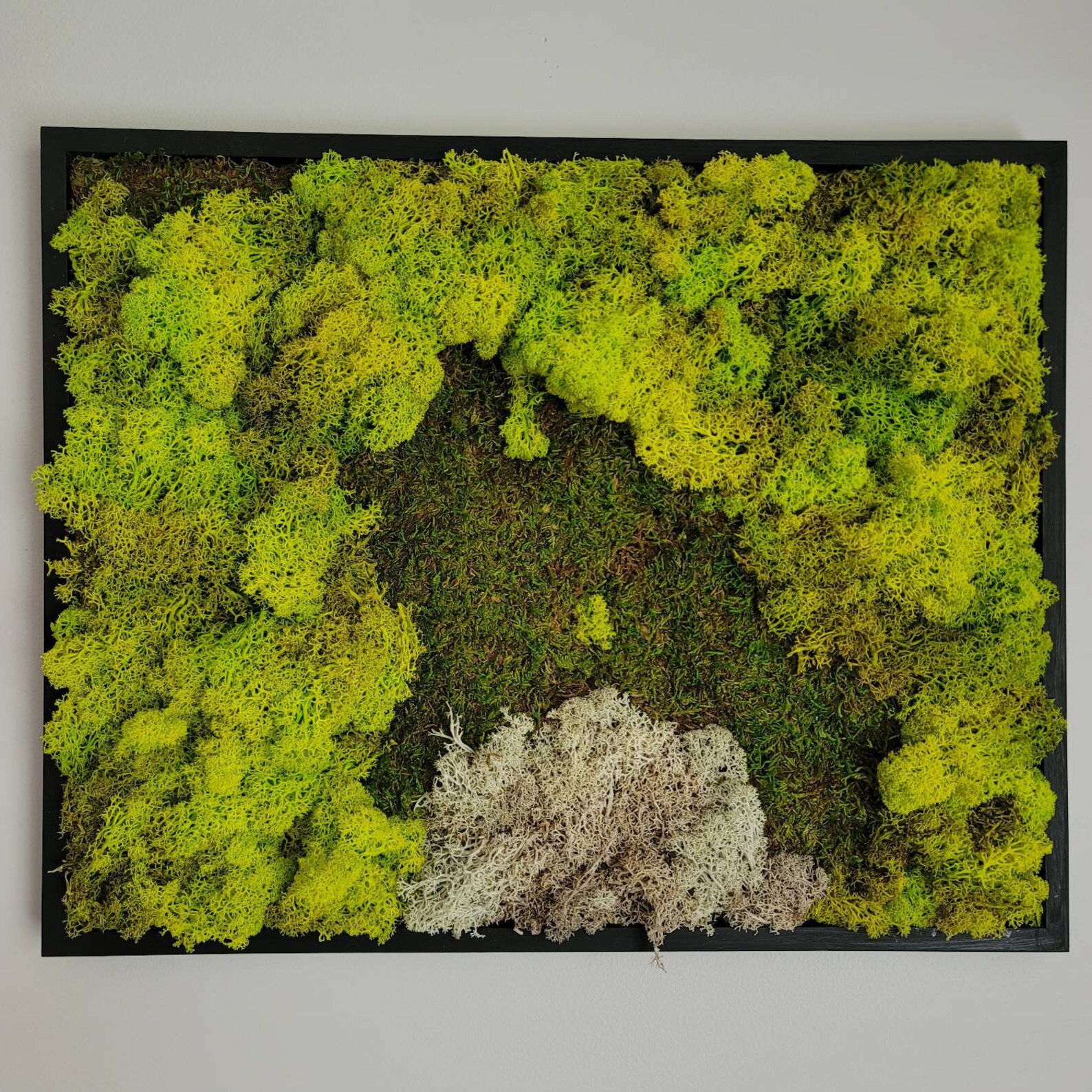 Moss Wall Art Frame Etsy