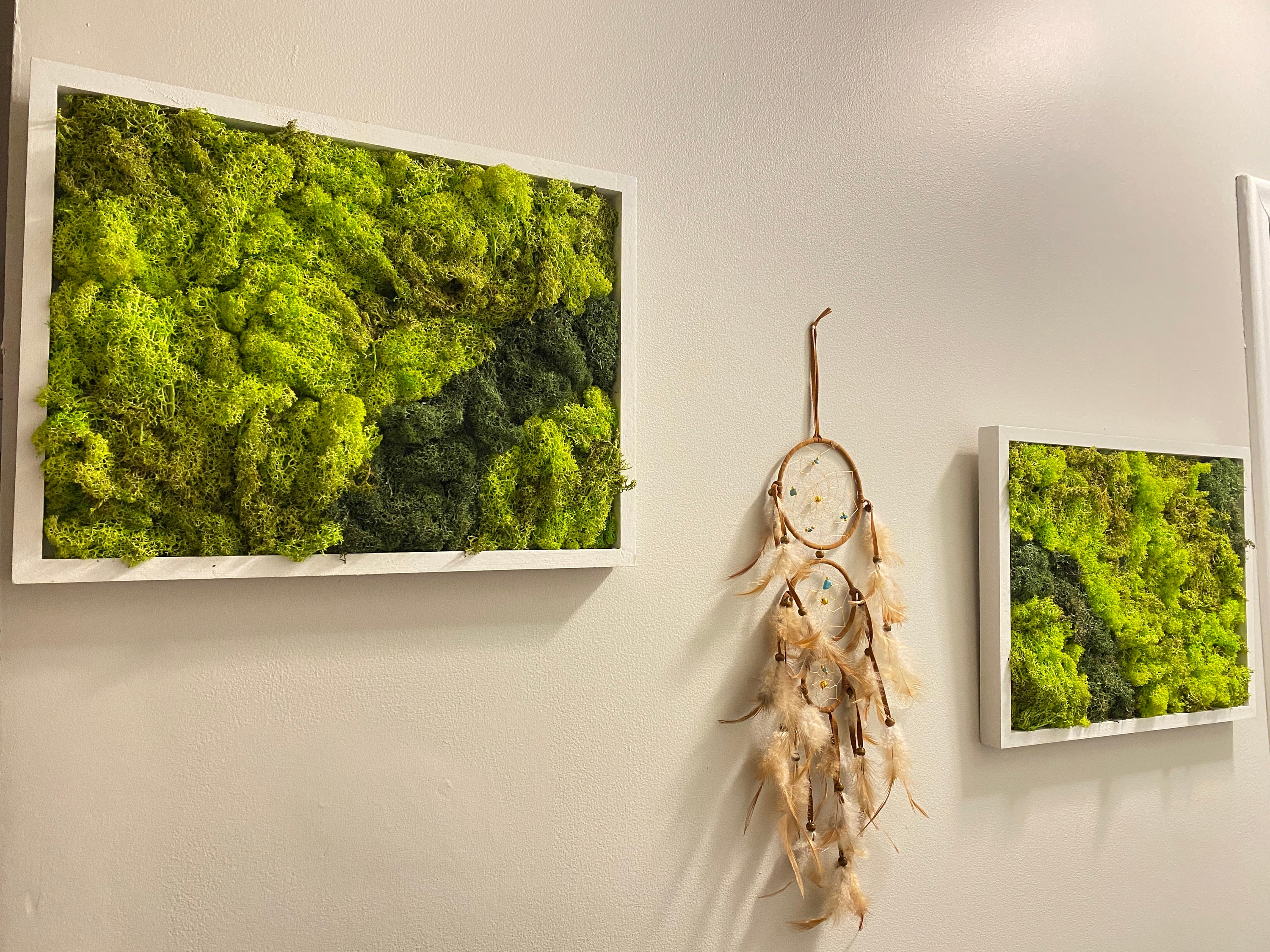 Moss Wall Art. Moss Frame. Green Wall Art. Wall Decor. Etsy UK