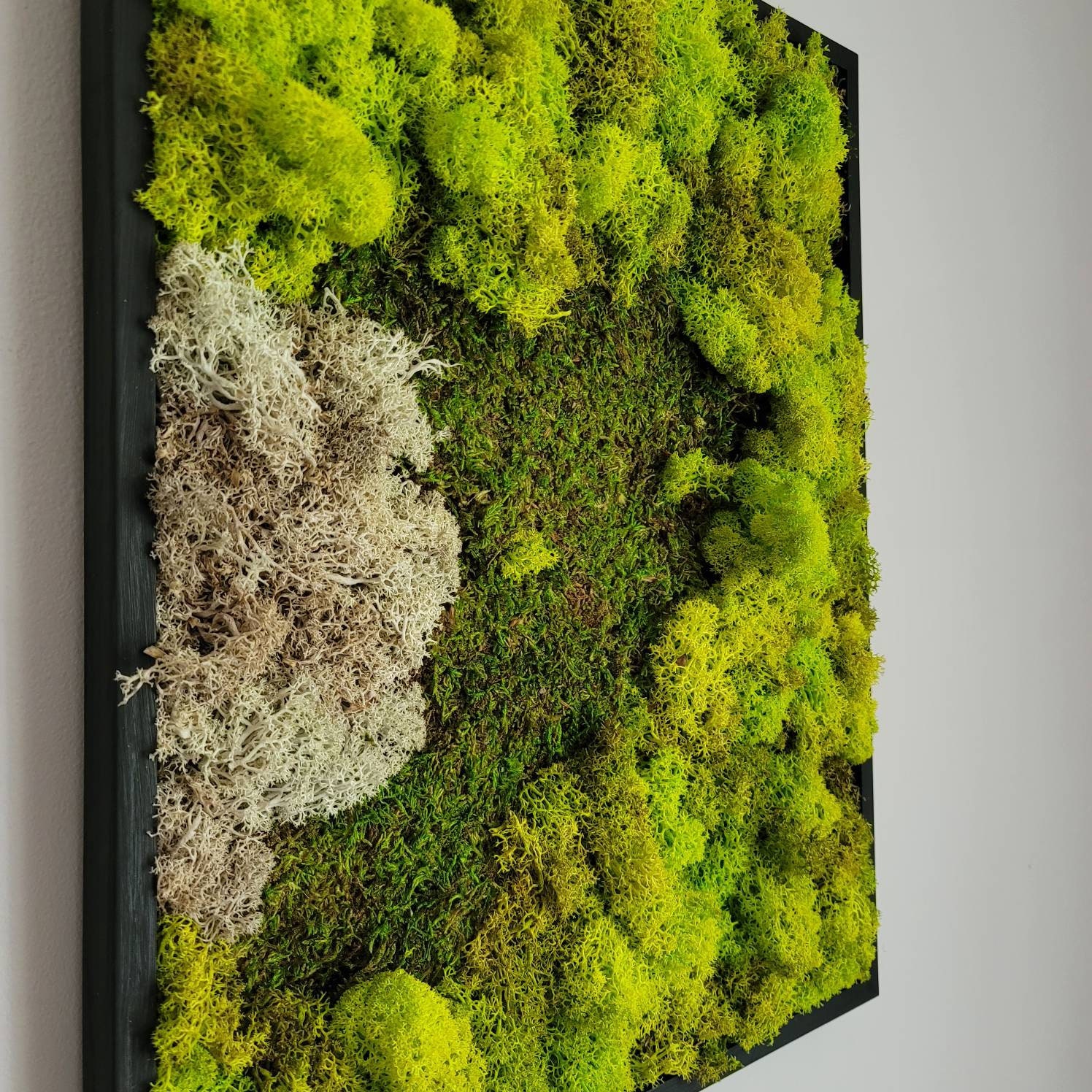Moss Wall Art Frame Etsy