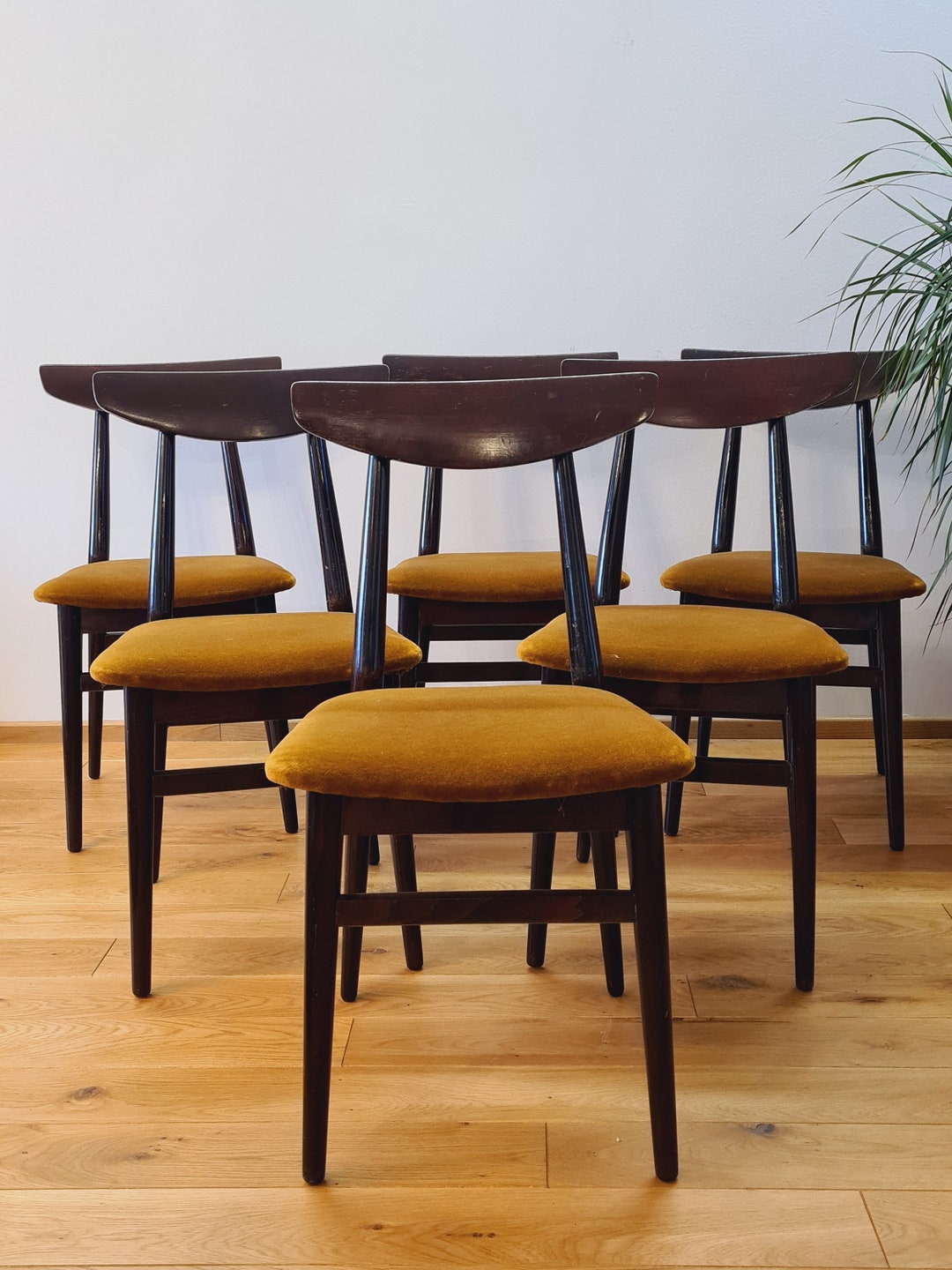 1 of 6 Vintage Dark Wood Dining Chairs With Ochre Mustard Etsy