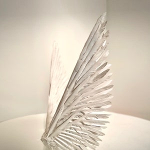 White Angel Feather Wings