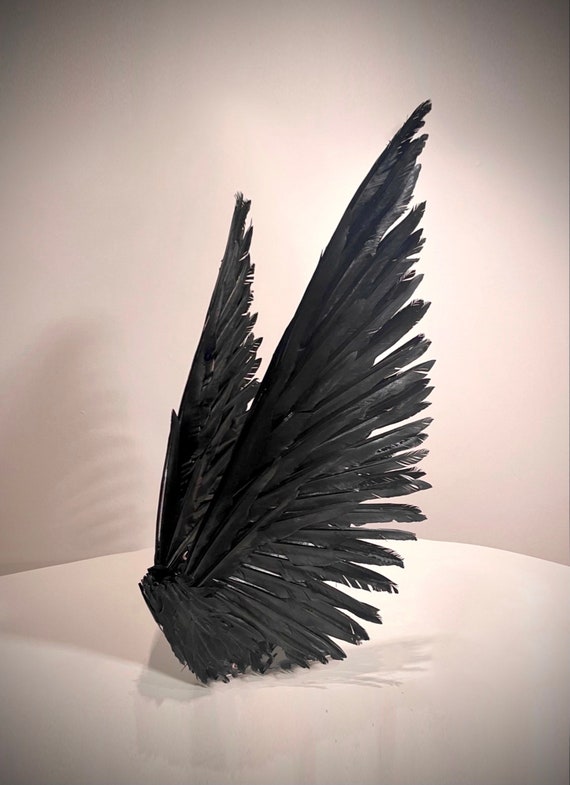 Black Angel Feather Wings Etsy