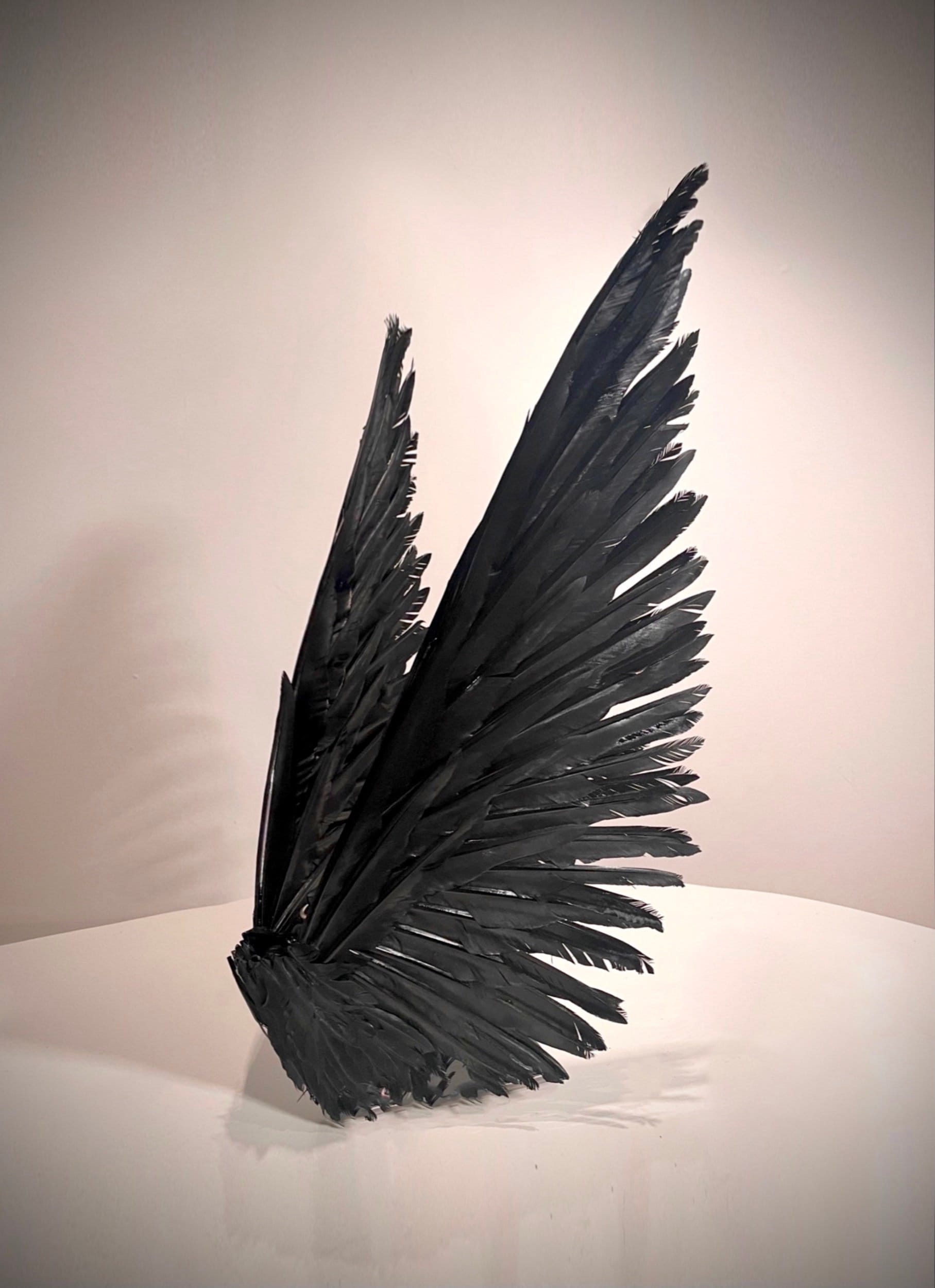 Black Angel Feather Wings