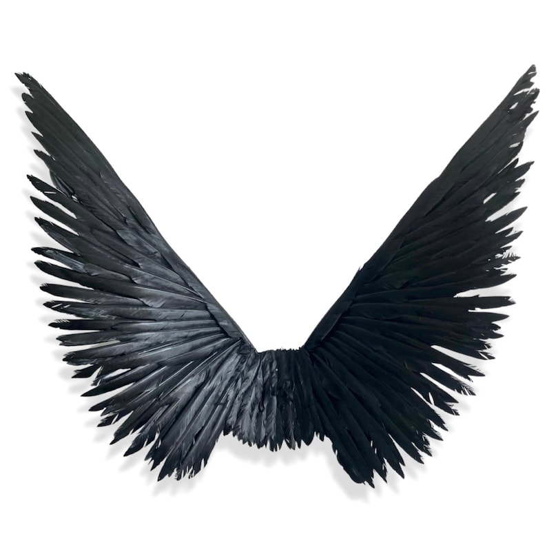 Black Angel Feather Wings Etsy