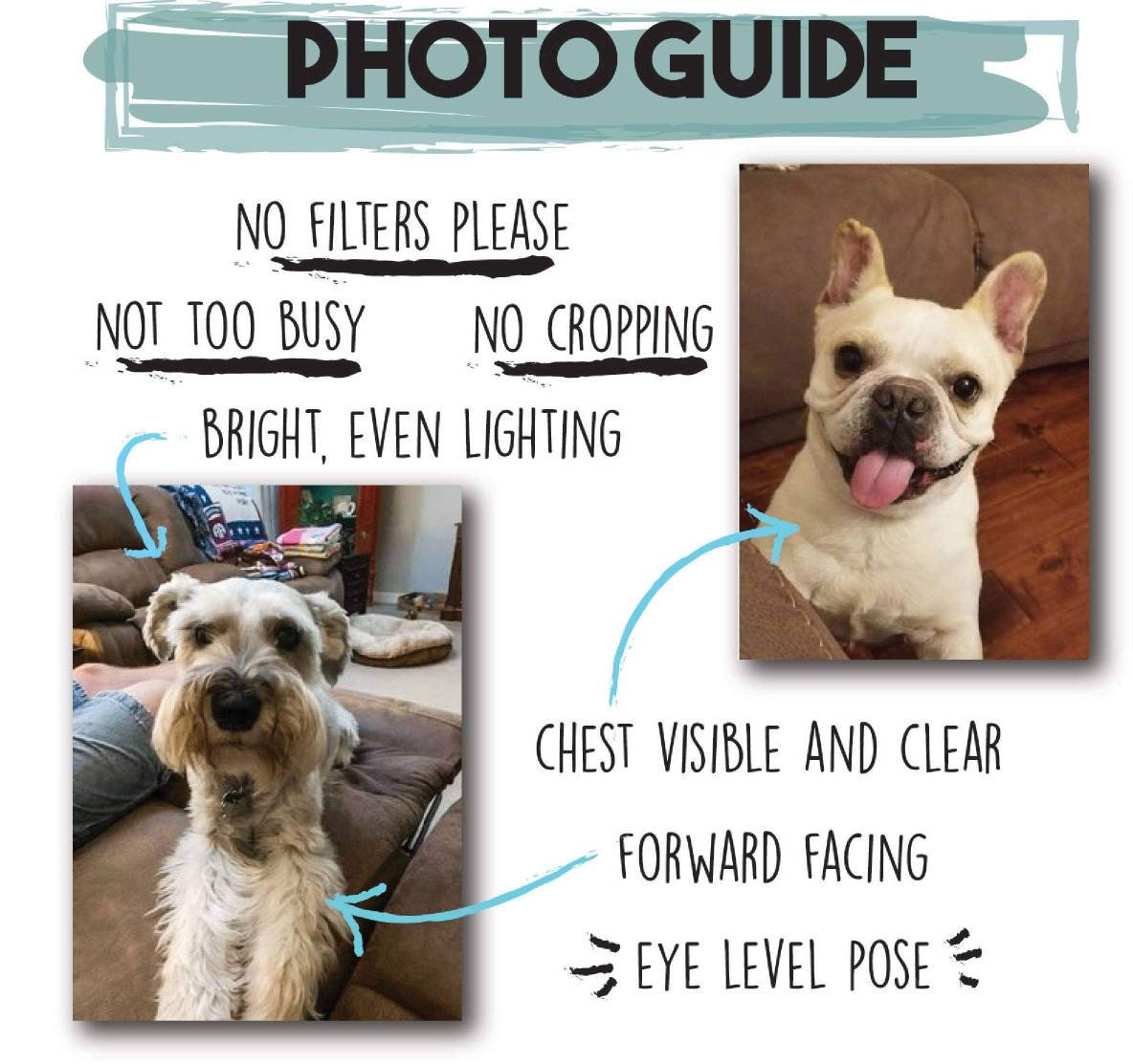 Printable Pet Portraits Plus - 8x10" JPG Format - Pet Drawing - Dog ...