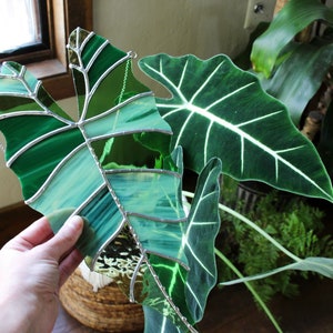 May include: A stained glass leaf in shades of green and blue, with silver lead lines, is held in a hand. The leaf is in front of a potted plant with large, dark green leaves.