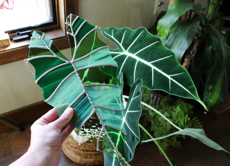 May include: A stained glass leaf in shades of green and blue, with silver lead lines, is held in a hand. The leaf is in front of a potted plant with large, dark green leaves.