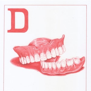 D is for Drawing of False Teeth