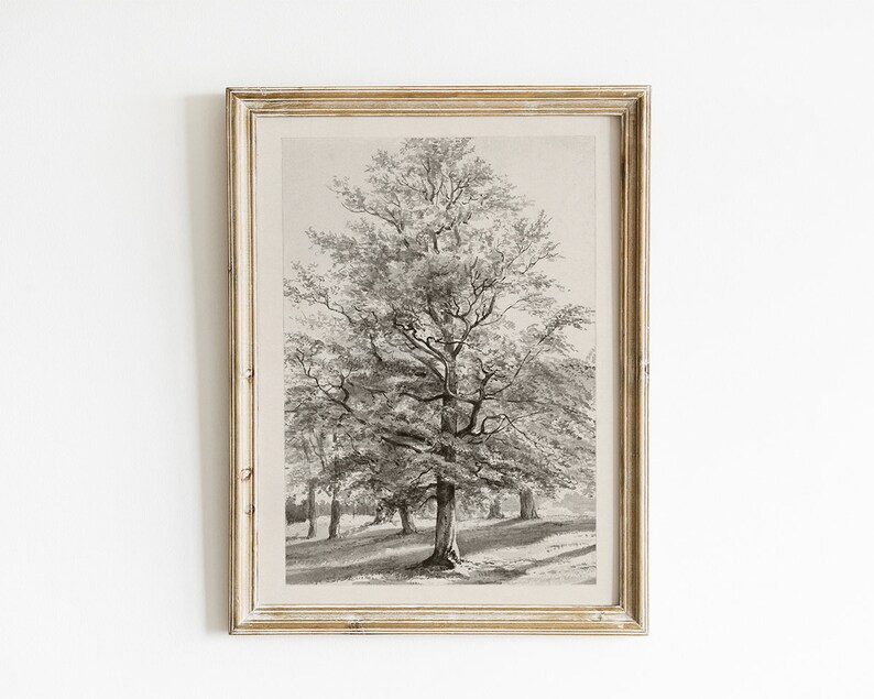 Vintage Oak Tree Art PRINTABLE Landscape Sketch Vintage Art Etsy