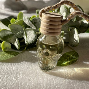 May include: A glass skull-shaped bottle with a wooden cap and a gold and beige string attached. The bottle is filled with a clear liquid and is sitting on a white surface.