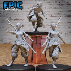 Monk Adventurer Female - Epic Miniatures | #112 -Legends of the East