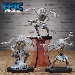 Spider Folk Series - Epic Miniatures | Insectoid | Masculine |  Medium
