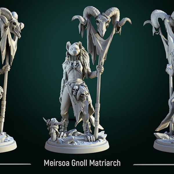 Meirsoa the Gnoll Matriarch - White Werewolf Tavern | Miniatures | Gnoll Leader