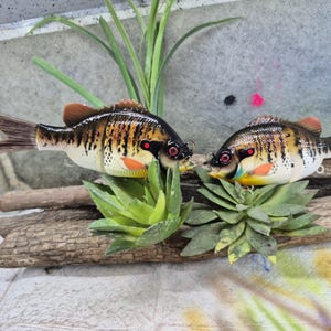 May include: Two realistic-looking fishing lures shaped like bass, with brown, black, and white markings. The lures have red eyes and orange accents. The lures are displayed on a wooden surface with green plants.