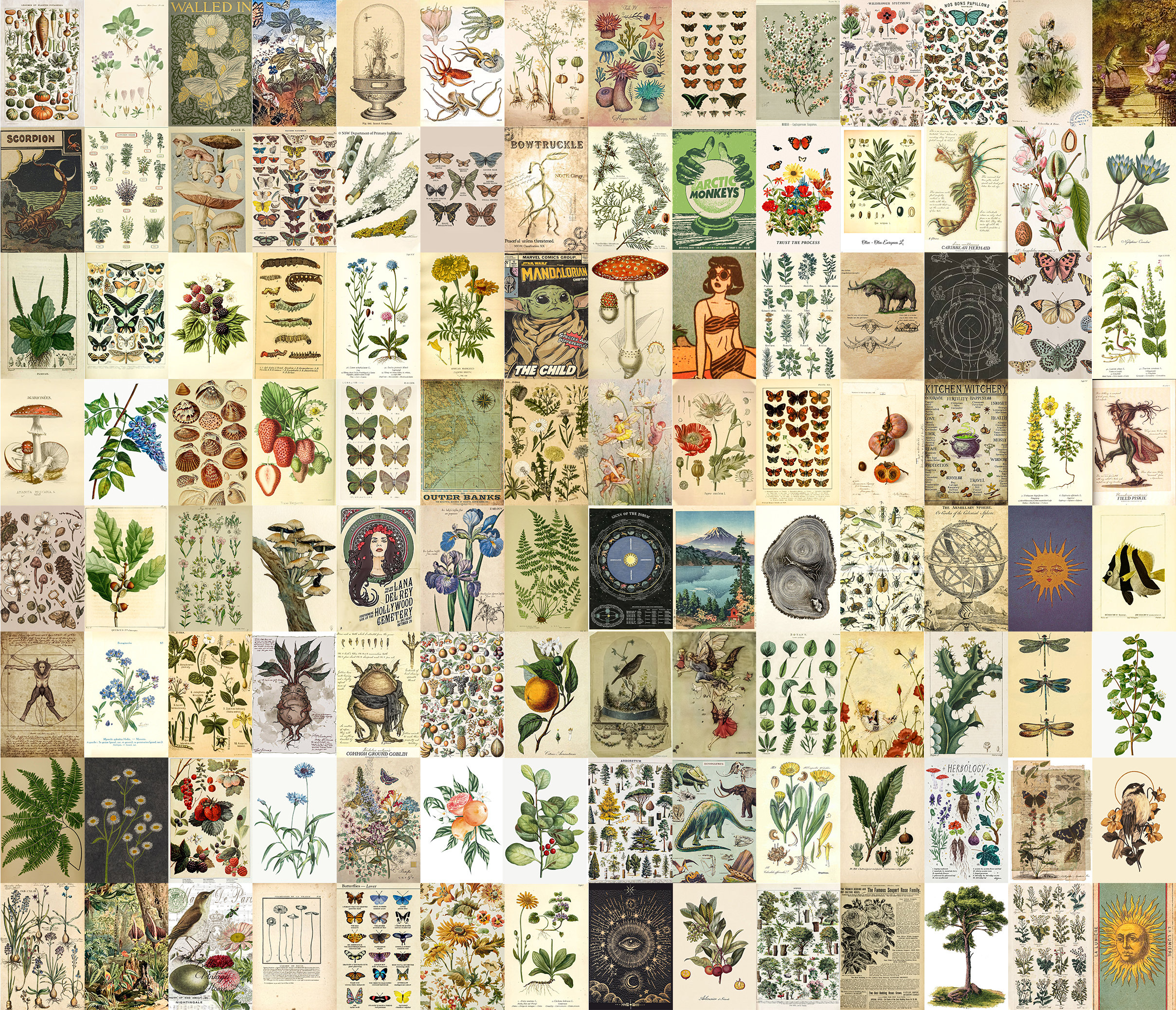 BOTANICAL Vintage Poster AESTHETIC Wall Collage Kit 112 Pcs - Etsy Canada