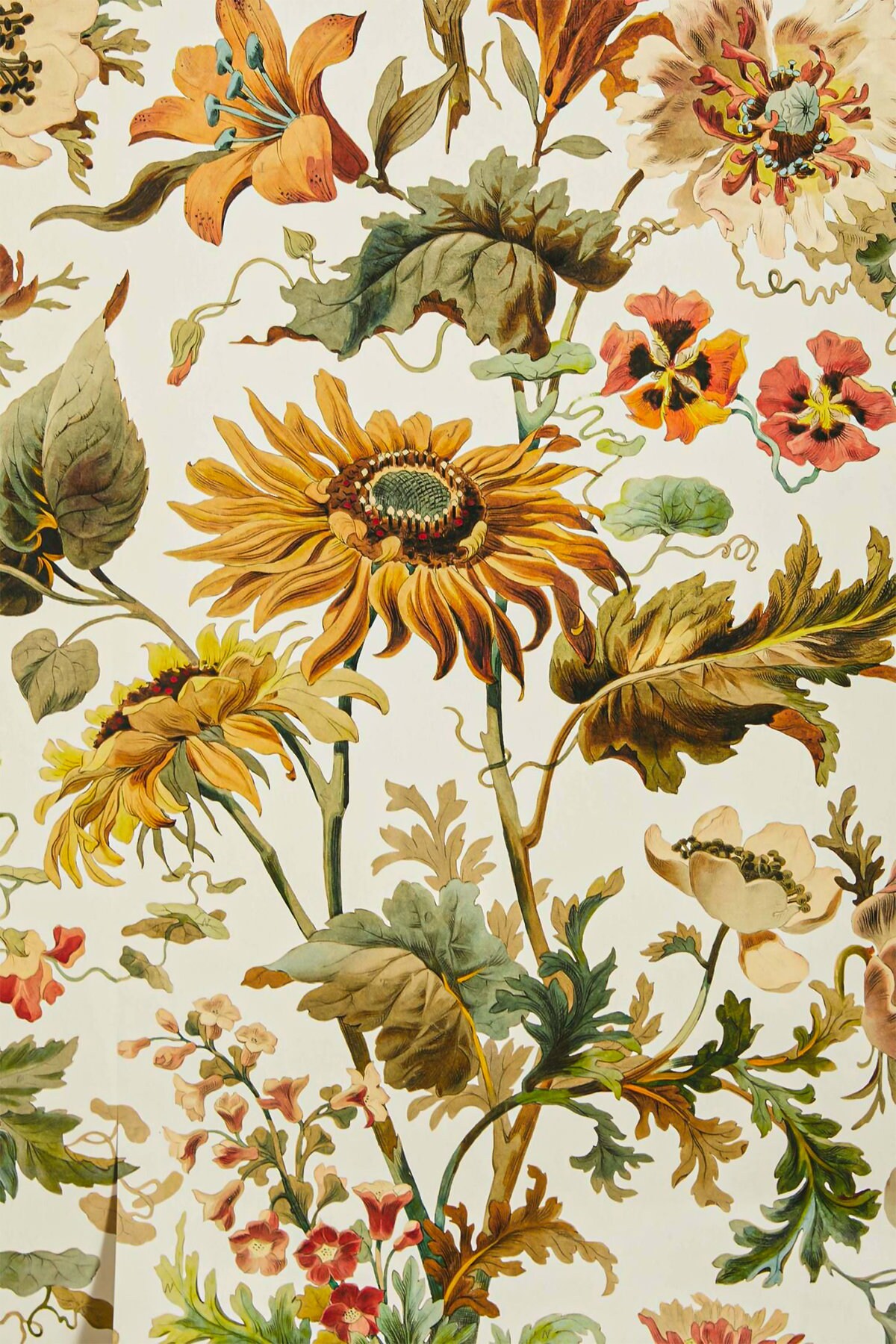 BOTANICAL Vintage Poster AESTHETIC Wall Collage Kit 112 Pcs Etsy Canada