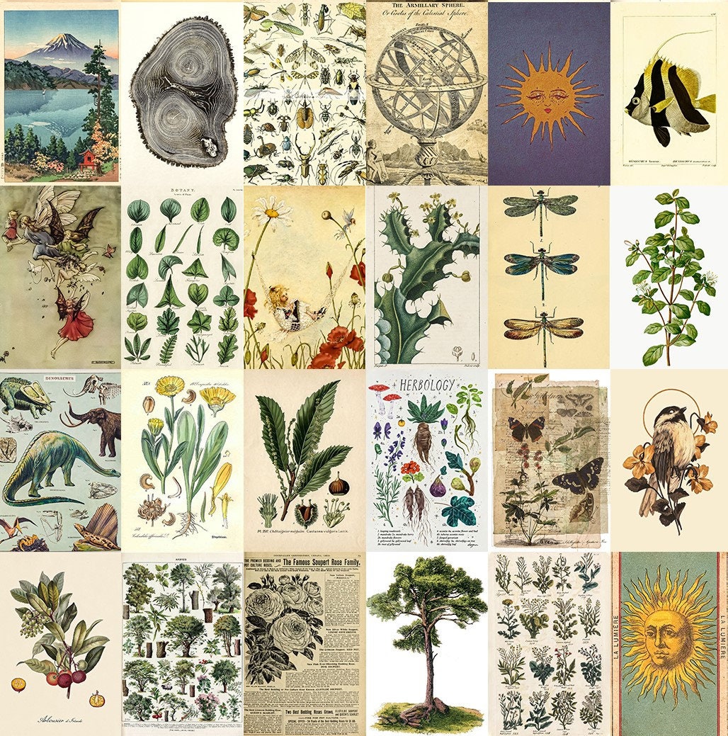 BOTANICAL Vintage Poster AESTHETIC Wall Collage Kit 112 Pcs Etsy