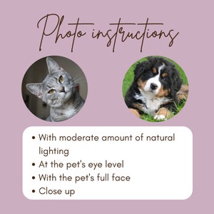 Benutzerdefiniertes 4 Zoll handgesticktes Hundeportrait, individuelle Hundestickerei, Haustierportrait vom Foto, Kunstauftrag Bild 9