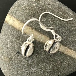 Pure silver cowrie shell earrings