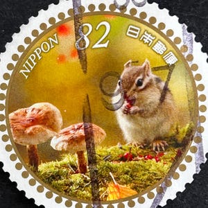 Pode incluir: Um selo postal japonês circular com um esquilo-listrado a comer uma baga vermelha sobre musgo verde. Dois cogumelos castanhos claros são visíveis à esquerda. O selo inclui o texto NIPPON, o número 82 e caracteres japoneses.