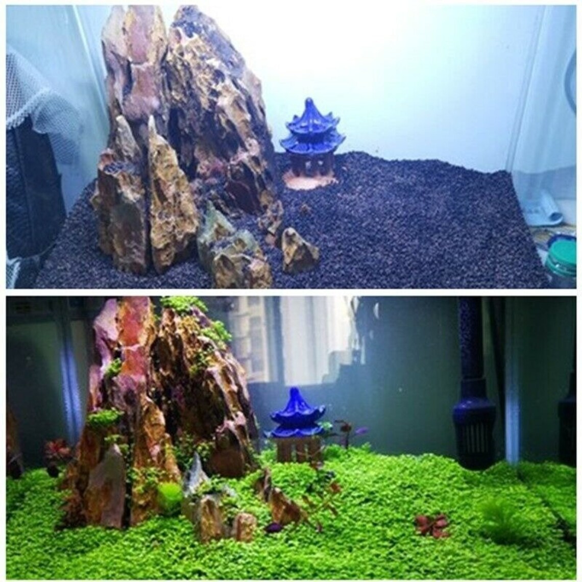 Aquarium Planted Substrate Sand Aquarium Plant Seeds Soil Etsy Australia