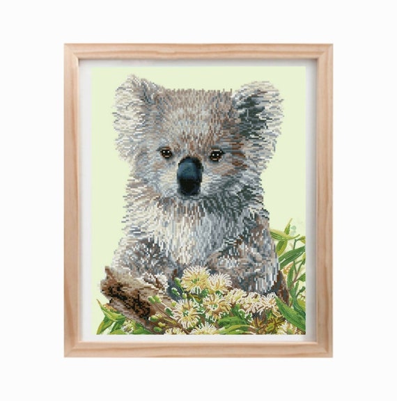 Koala & Eucalypus Blossom