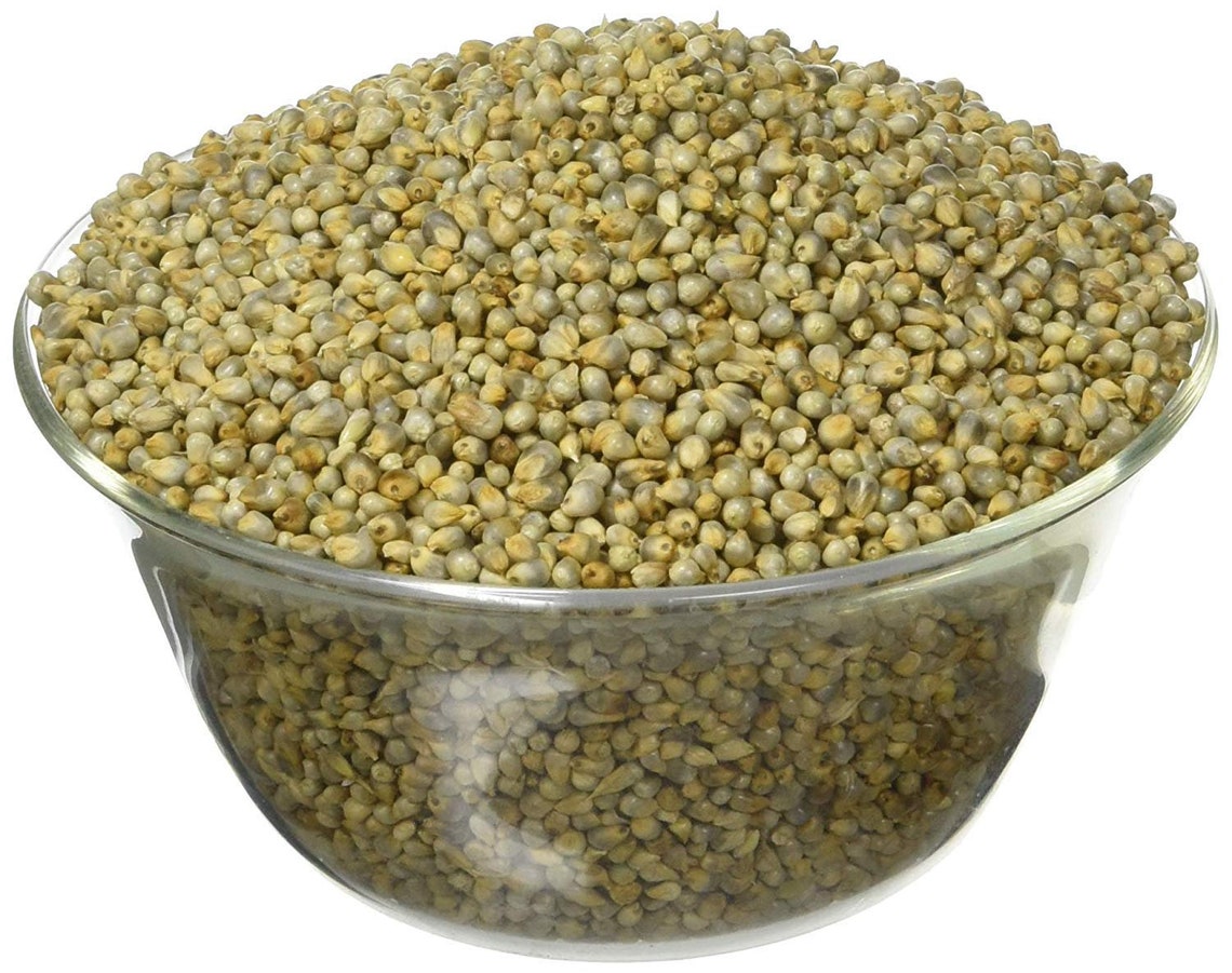100 Organic Whole Pear Millet Bajra green world hybrid Etsy