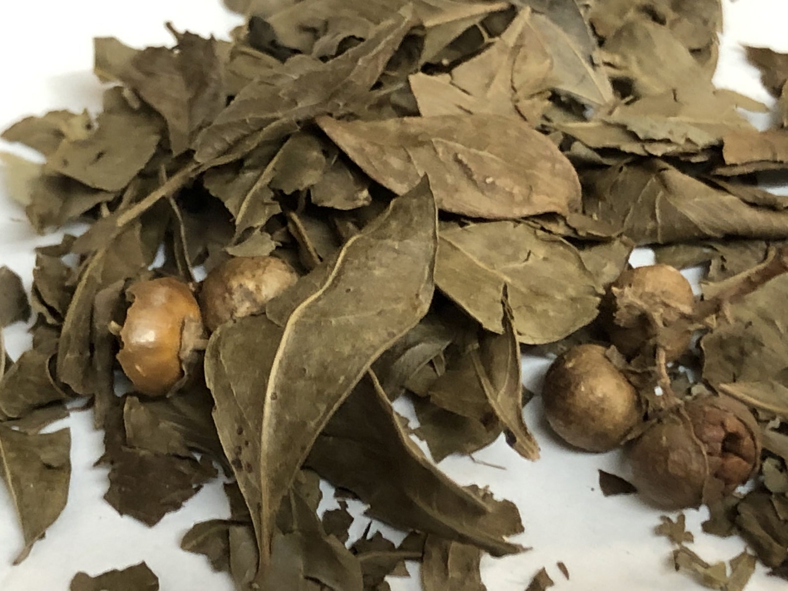 Natural & Pure Herbal Henna Dry Henna Mehandi Leaves for Etsy