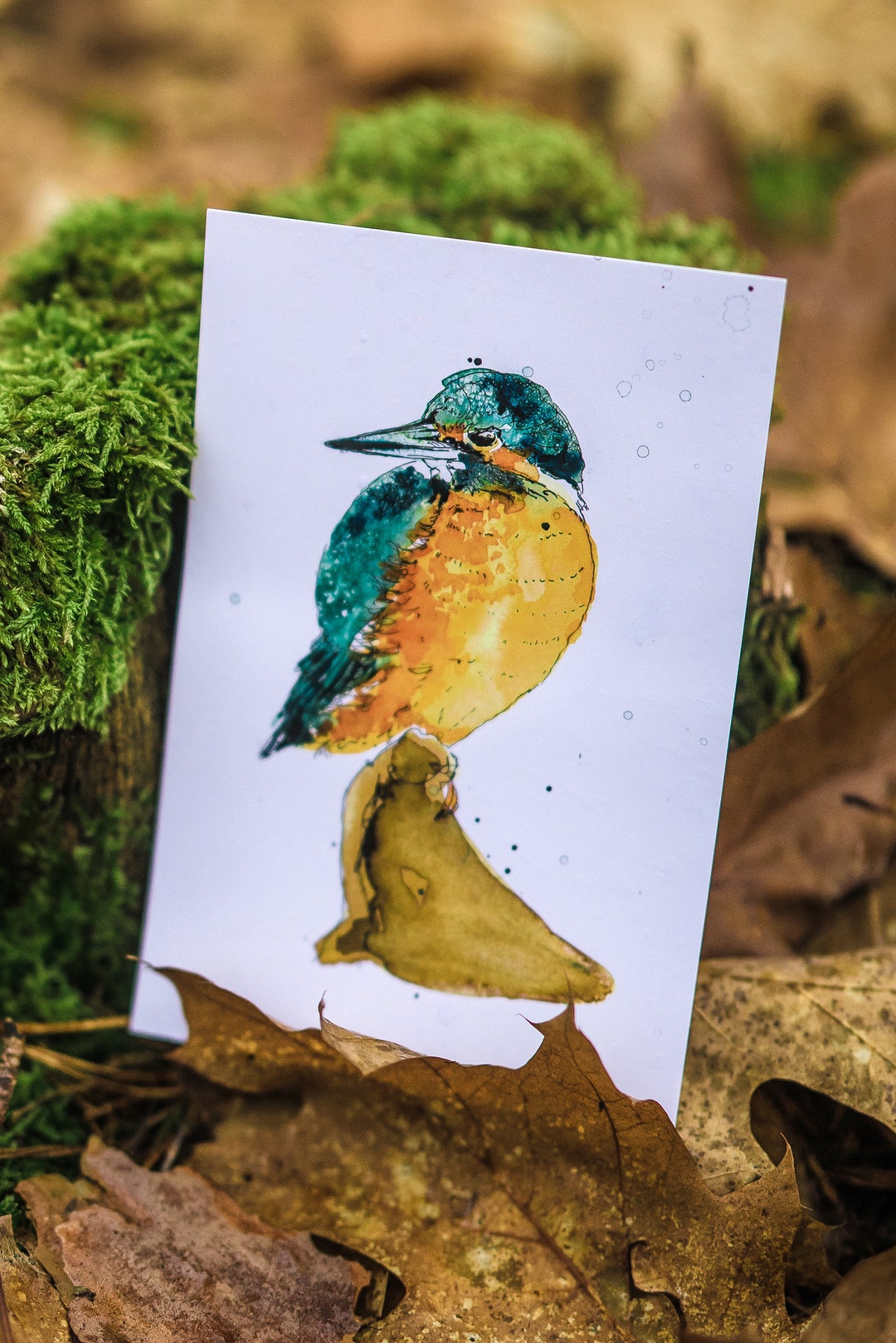 Postkarte, Motivkarte Der Eisvogel, Eisvogel, Wasser, Natur, Aquarell, Karte, Tiere, Wald