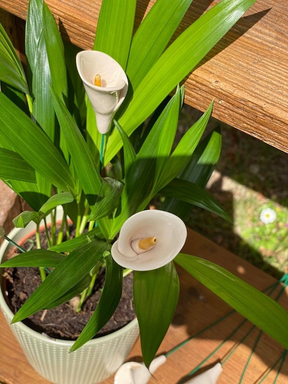 Calla Keramik Blumen - Blumenstecker - Etsy.de